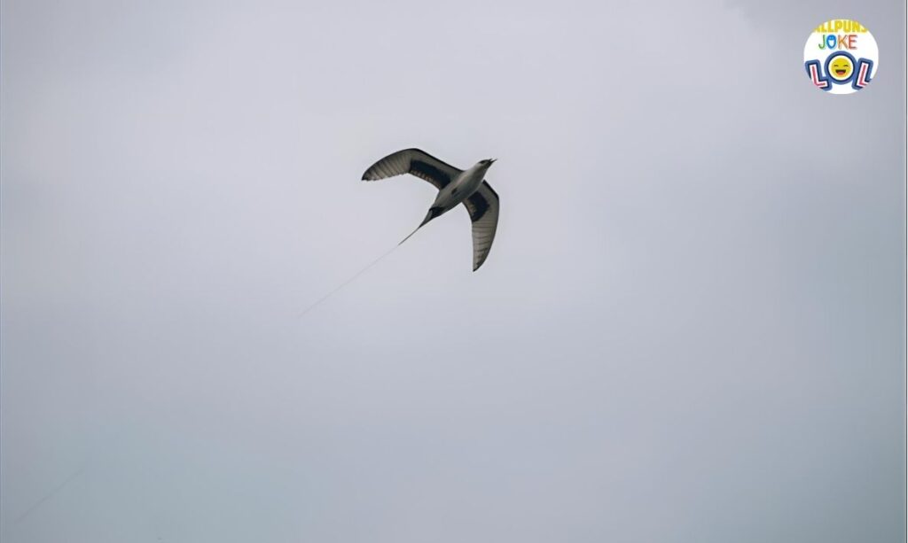 Messed Up Jokes for Kids