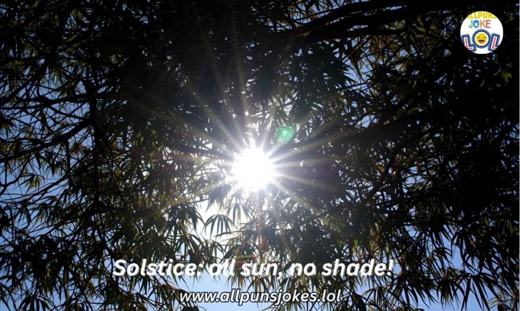 Summer Solstice One-Liners for Celebrations